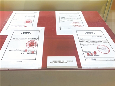 國家監(jiān)委留置第一案——貴州省委原常委、原副省長王曉光案相關(guān)文書。（李云舒 攝）