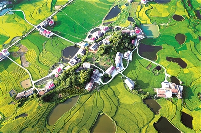2021年8月20日，俯瞰湖南省婁底市雙峰縣井字鎮(zhèn)花山村，硬化后的公路到組到戶，持續(xù)拓展的交通扶貧成果同鄉(xiāng)村振興有效銜接，不斷帶動壯大農(nóng)村集體經(jīng)濟，促進農(nóng)業(yè)增效、農(nóng)民增收。（圖片來源：視覺中國）